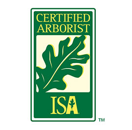 Certified-Arborist