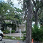 Best-Tree-Services-Tampa