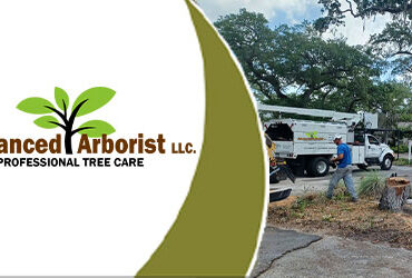 Advanced Arborist LLC