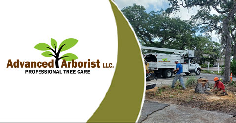 Advanced Arborist LLC