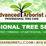 Advanced Arborist Tree Services