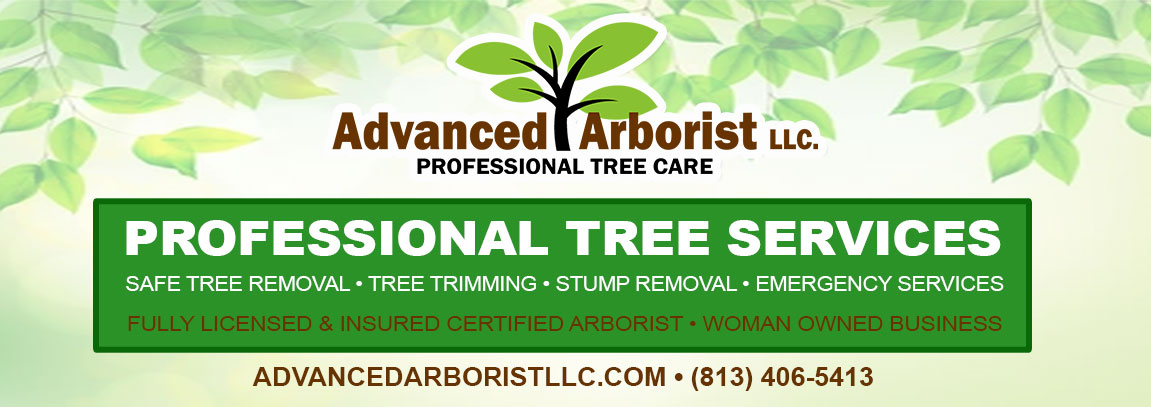 Advanced Arborist Tree Services