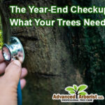 Tree Year End Checkup