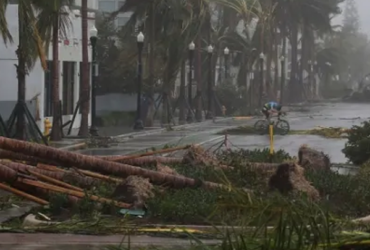 Hurricane Downed Trees