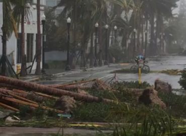 Hurricane Downed Trees