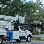 Commercial-Tree-Services