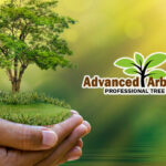 Healthy Green Tree Services