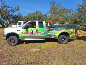 Advanced Arborist Tree Services