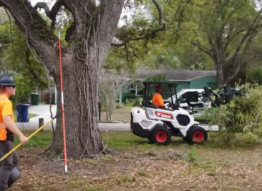 Tree Trimming Services