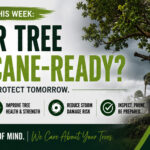 Prepare Your Property for Florida Storm Season