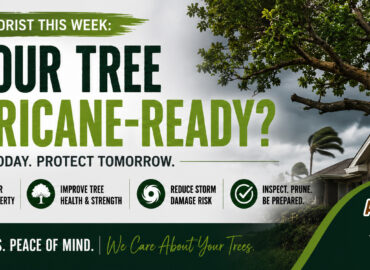 Prepare Your Property for Florida Storm Season