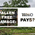 Does Homeowners Insurance Cover Tree Damage