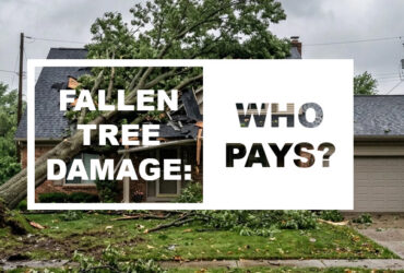 Does Homeowners Insurance Cover Tree Damage