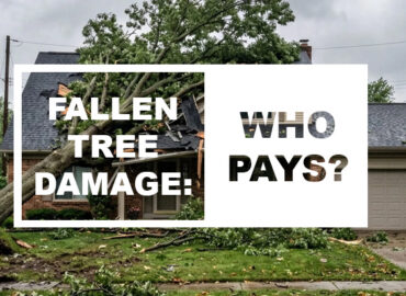 Does Homeowners Insurance Cover Tree Damage